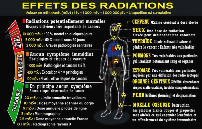 Effets des radiations - 1