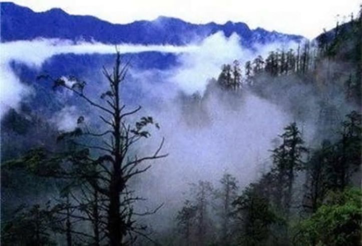 Brouillard - Vallée de Heizhu - Chine